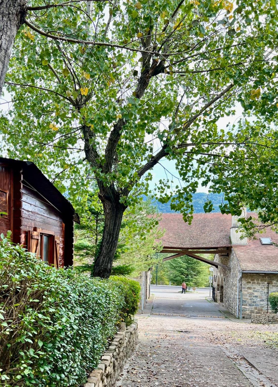 Camping Valle de Hecho Exterior foto